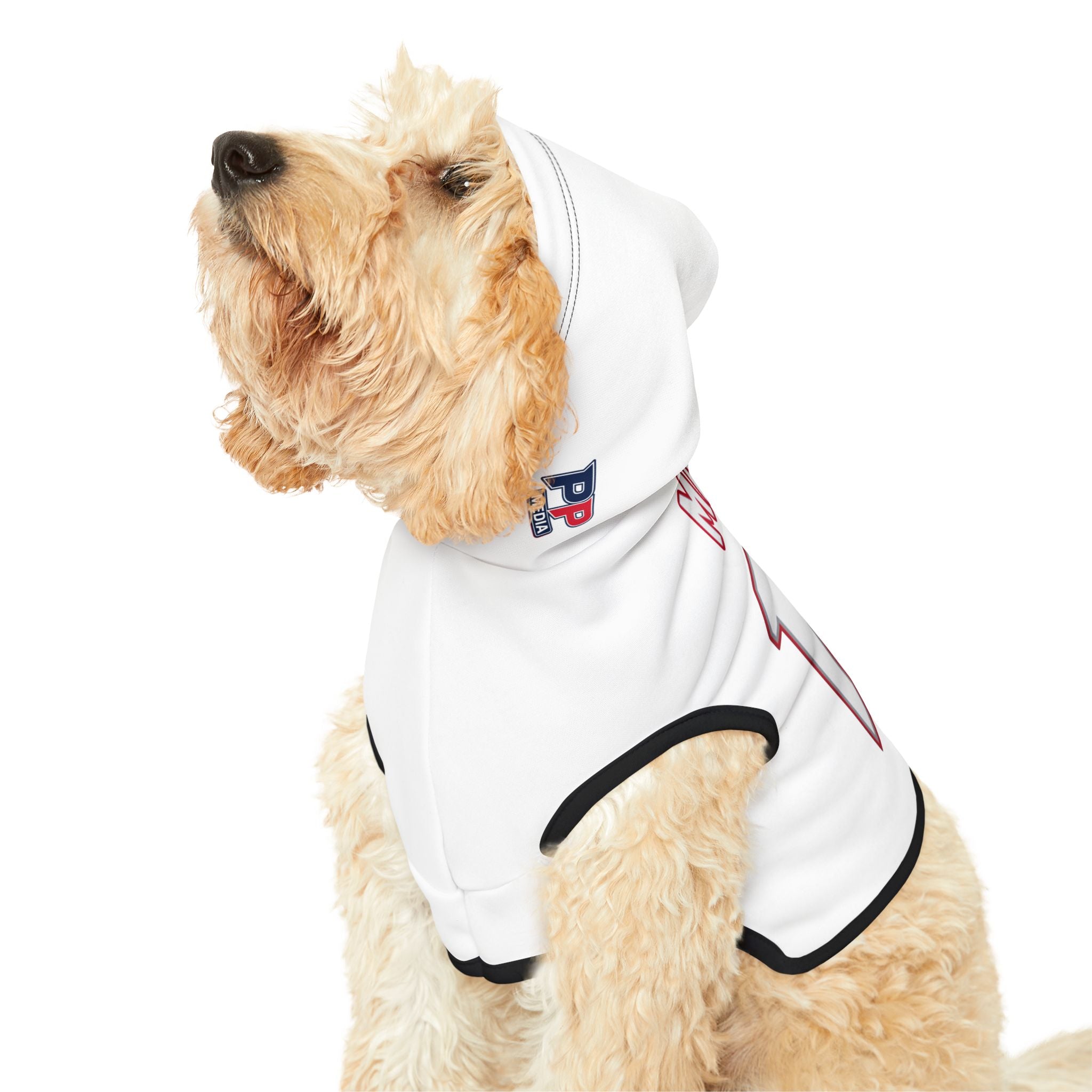 Drake Maye #10 Pats Planet Pet Hoodie