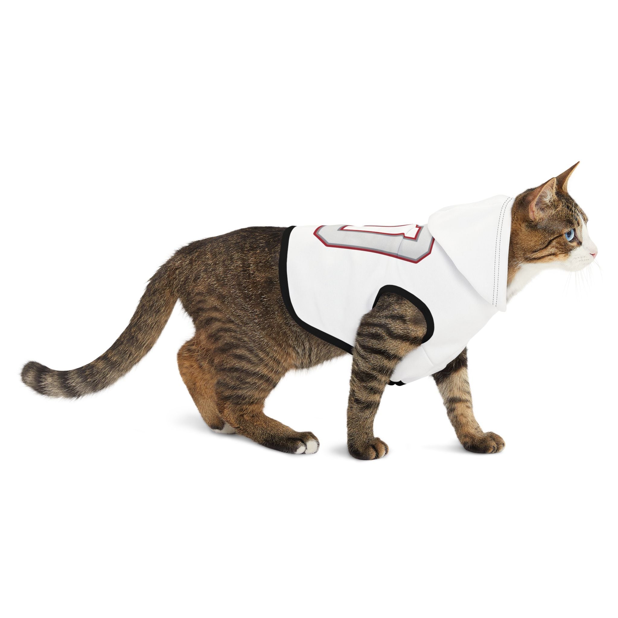 Drake Maye #10 Pats Planet Pet Hoodie