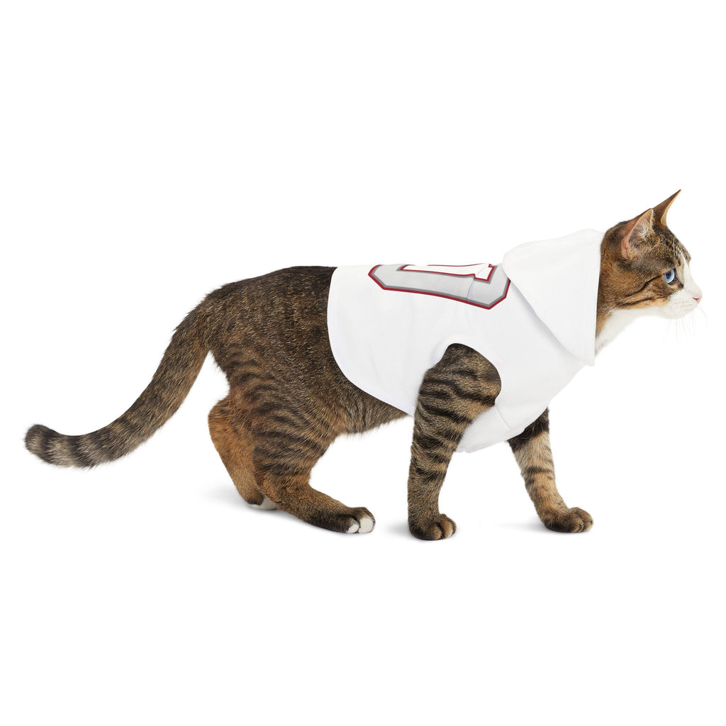 Drake Maye #10 Pats Planet Pet Hoodie