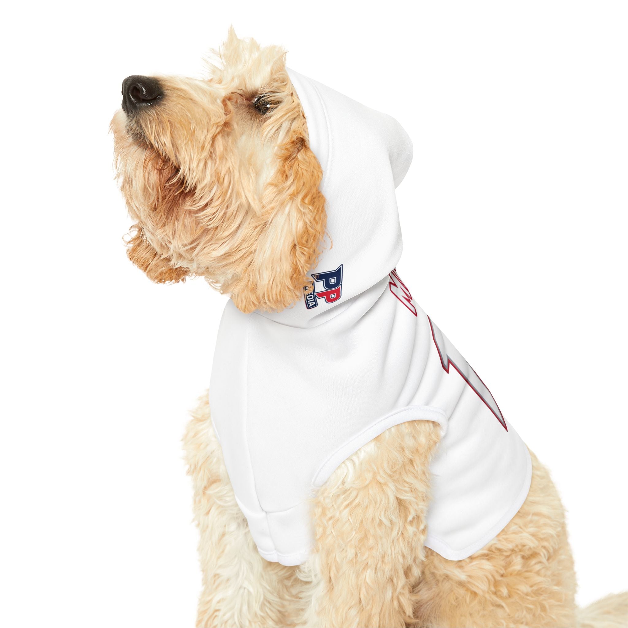 Drake Maye #10 Pats Planet Pet Hoodie