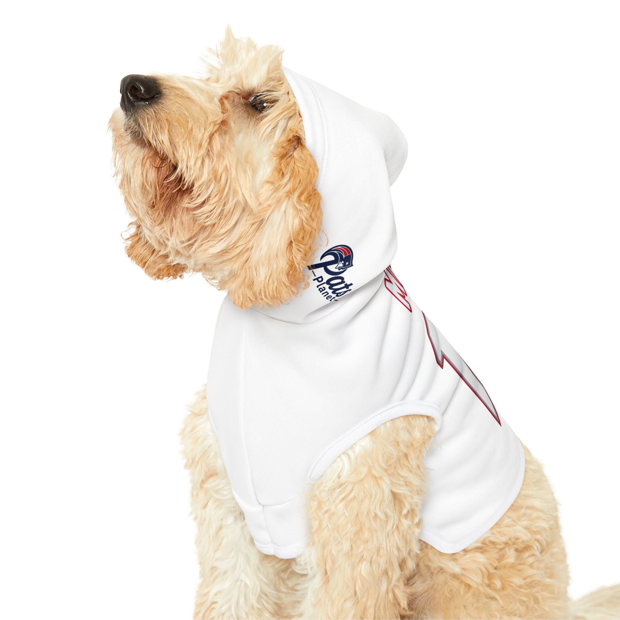 Drake Maye #10 Pats Planet Pet Hoodie
