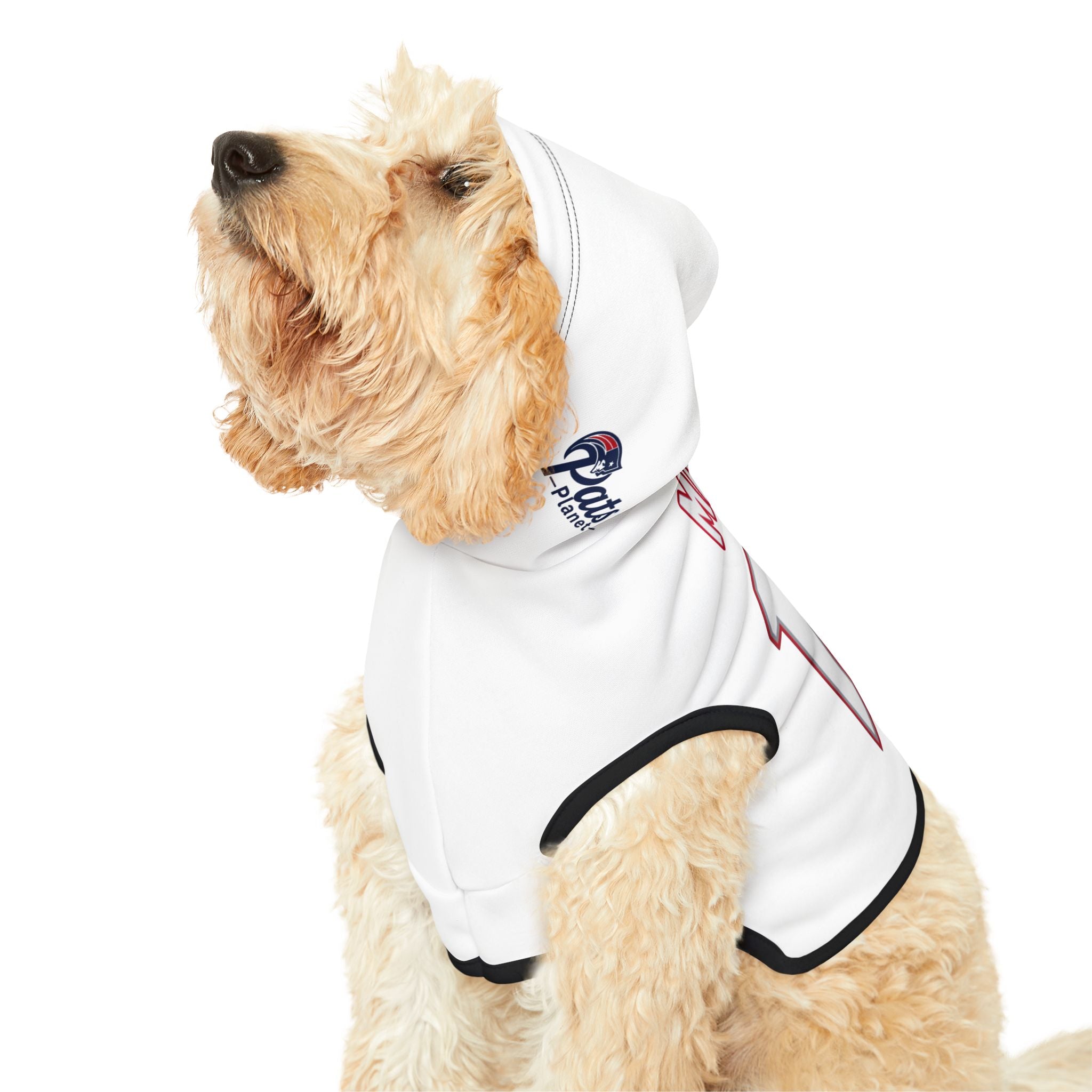 Drake Maye #10 Pats Planet Pet Hoodie